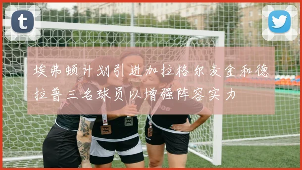 埃弗顿计划引进加拉格尔麦金和德拉普三名球员以增强阵容实力