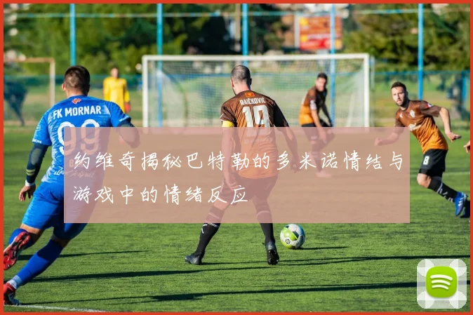 约维奇揭秘巴特勒的多米诺情结与游戏中的情绪反应