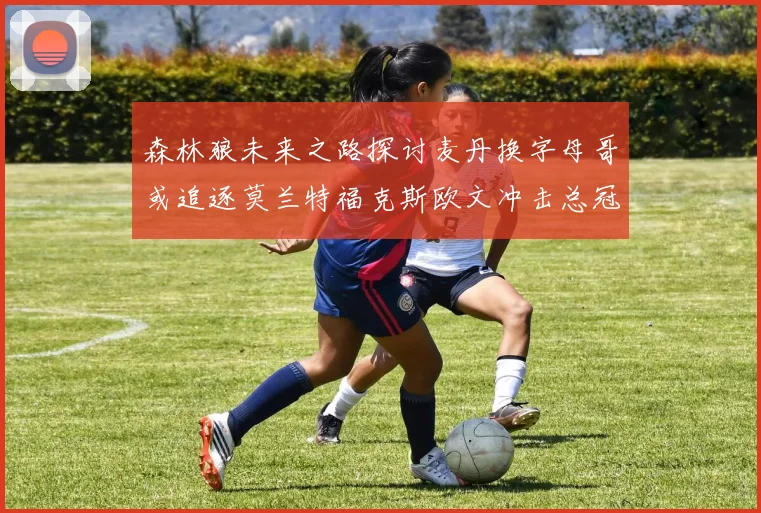 森林狼未来之路探讨麦丹换字母哥或追逐莫兰特福克斯欧文冲击总冠军